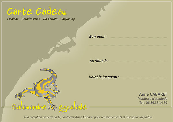carte cadeau stage escalade
